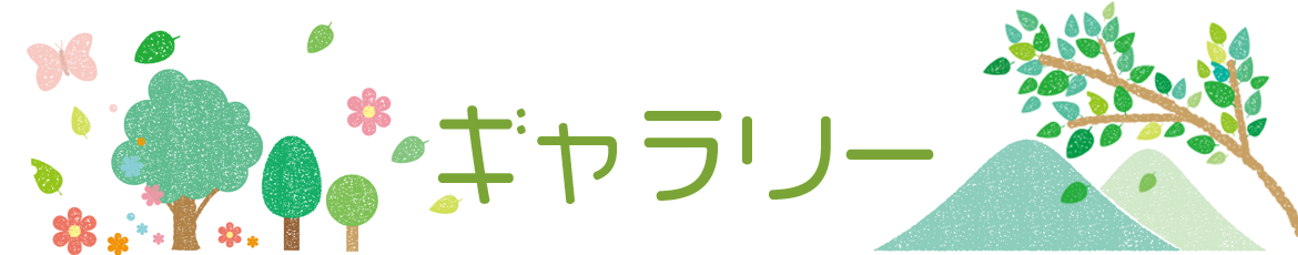 ギャラリー