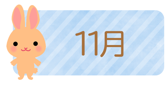 11月