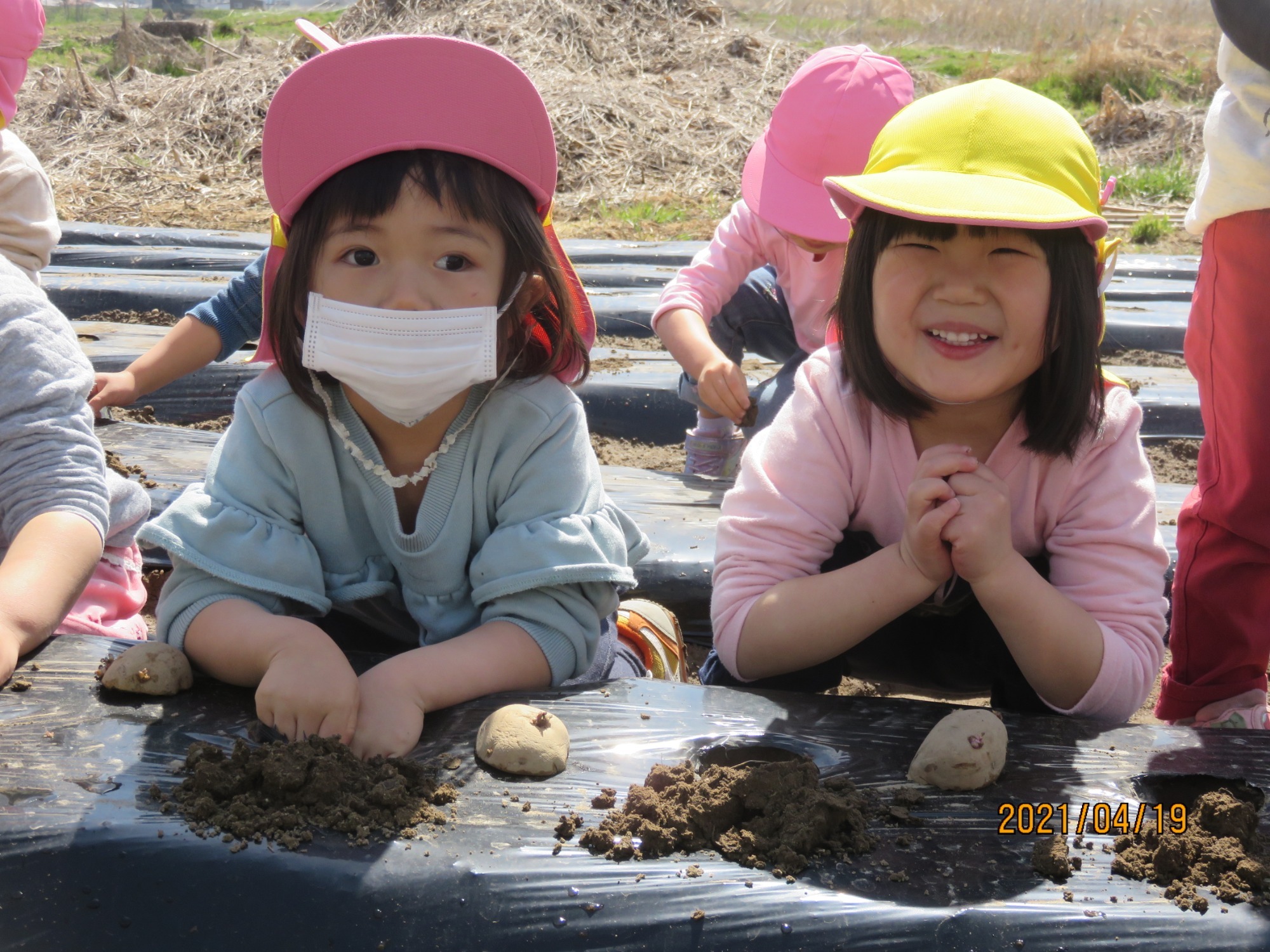 4月19日（月）　じゃがいも植え