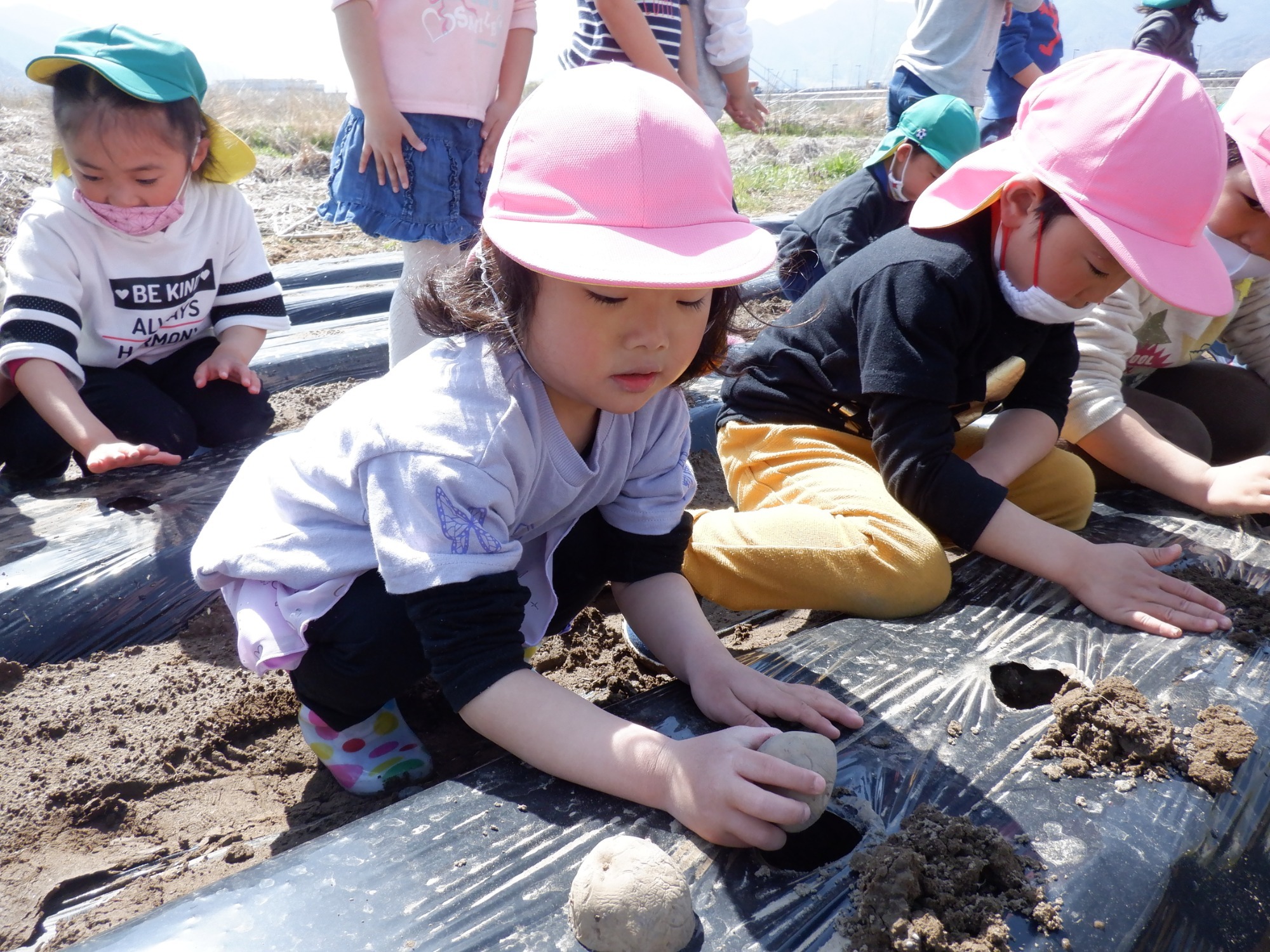 4月19日（月）　じゃがいも植え