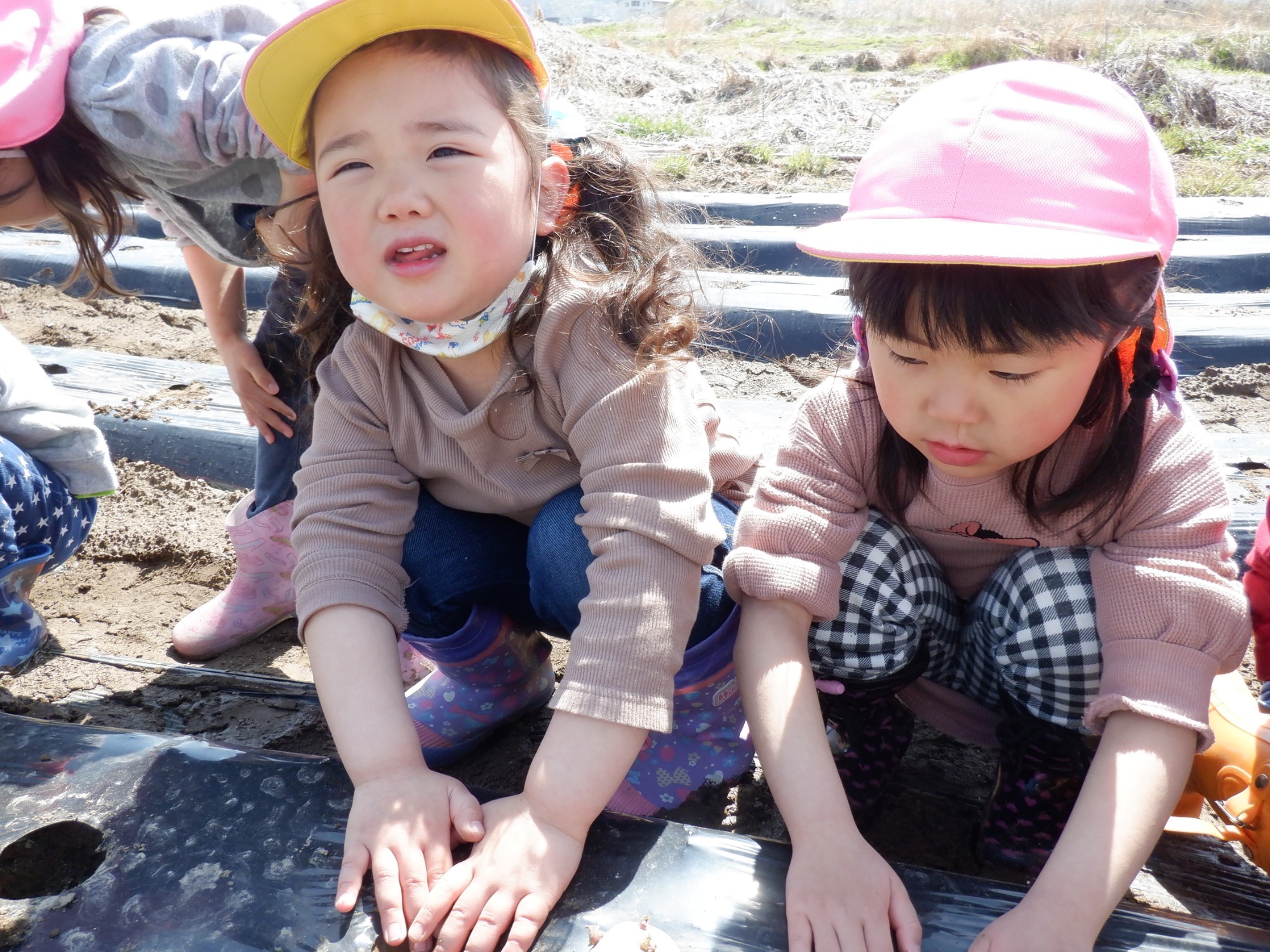 4月19日（月）　じゃがいも植え