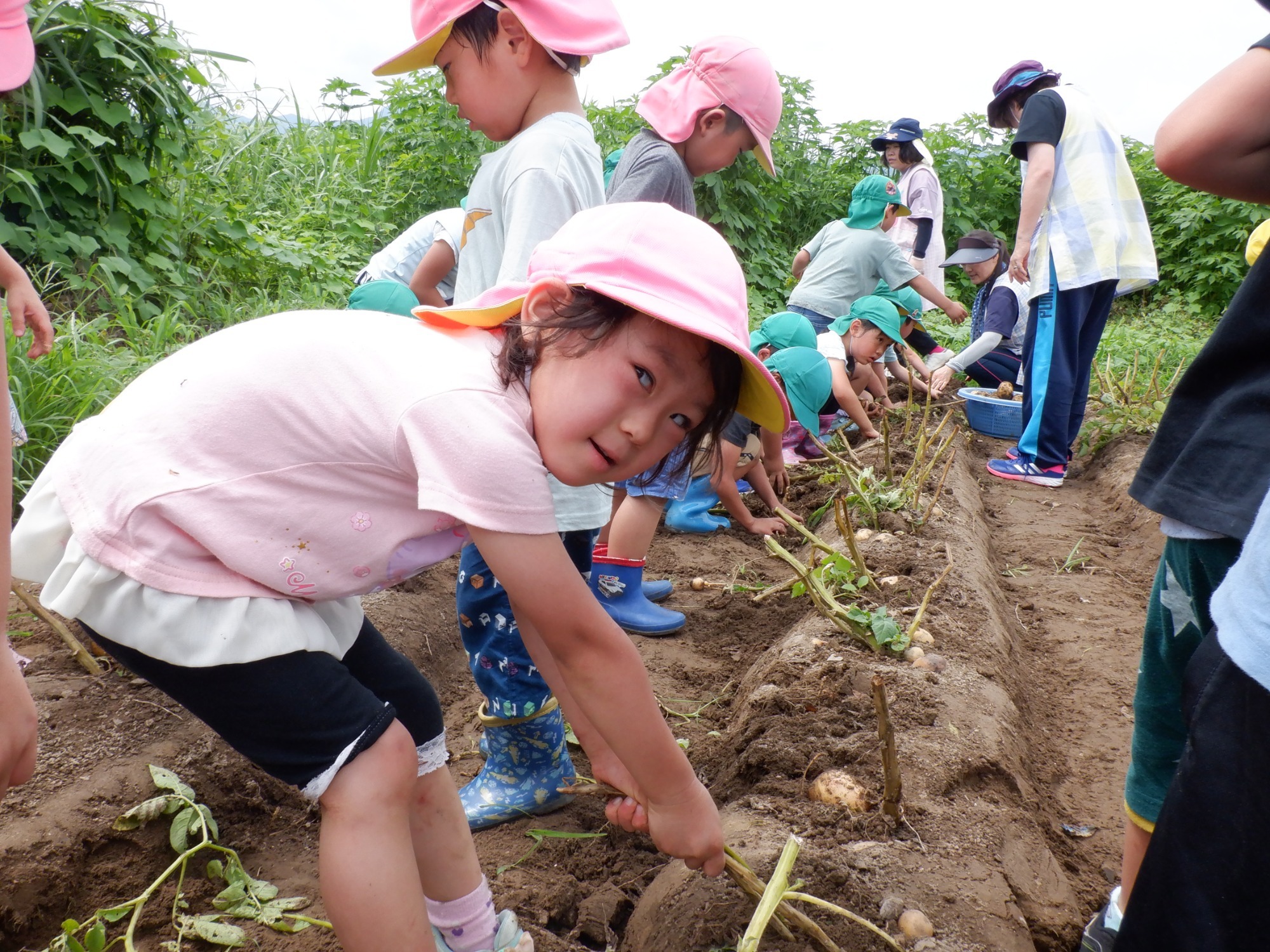 7月12日（月）　じゃが芋ほり