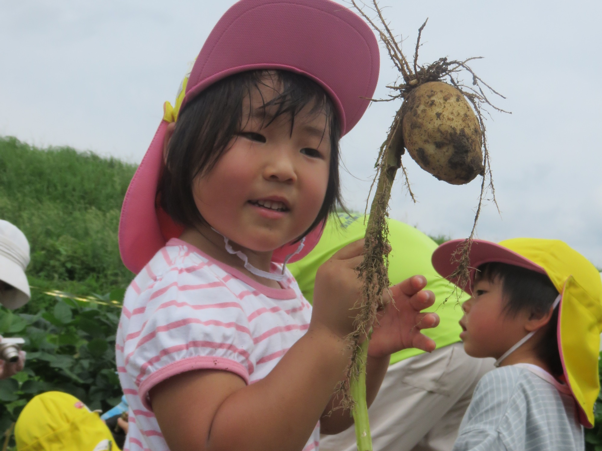 7月12日（月）　じゃが芋ほり