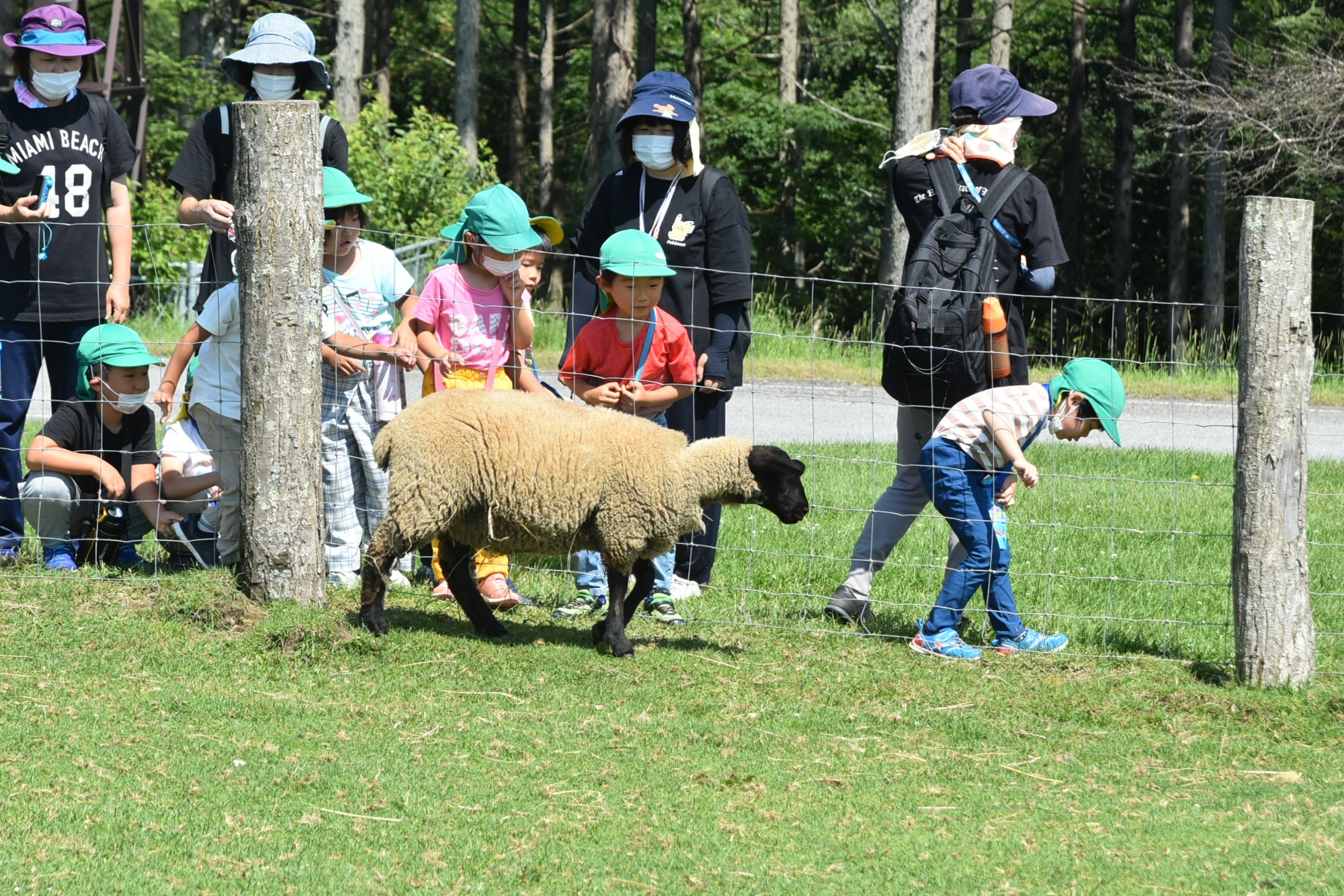7月20日・21日　お泊り保育