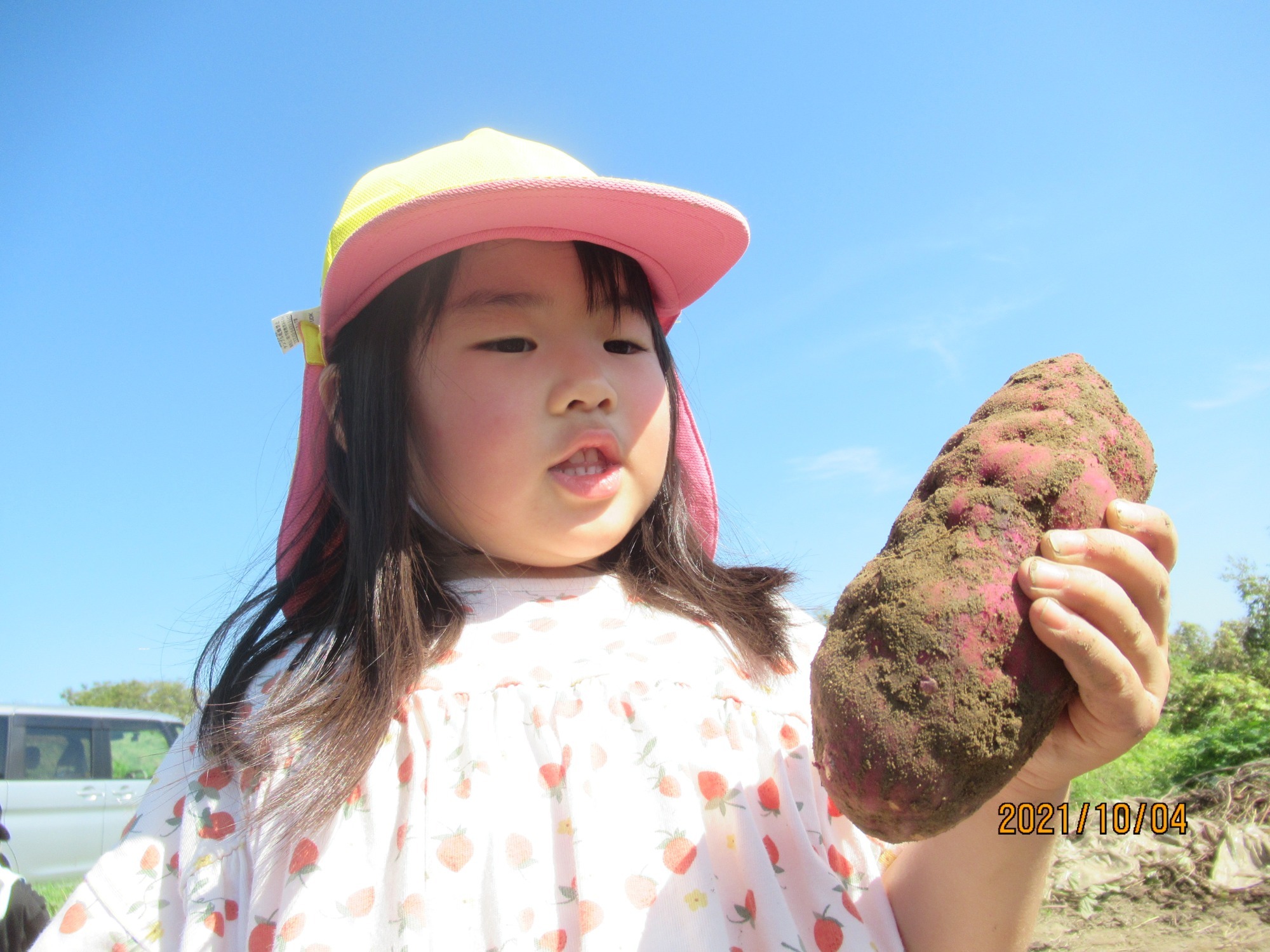 10月4日　さつま芋掘り