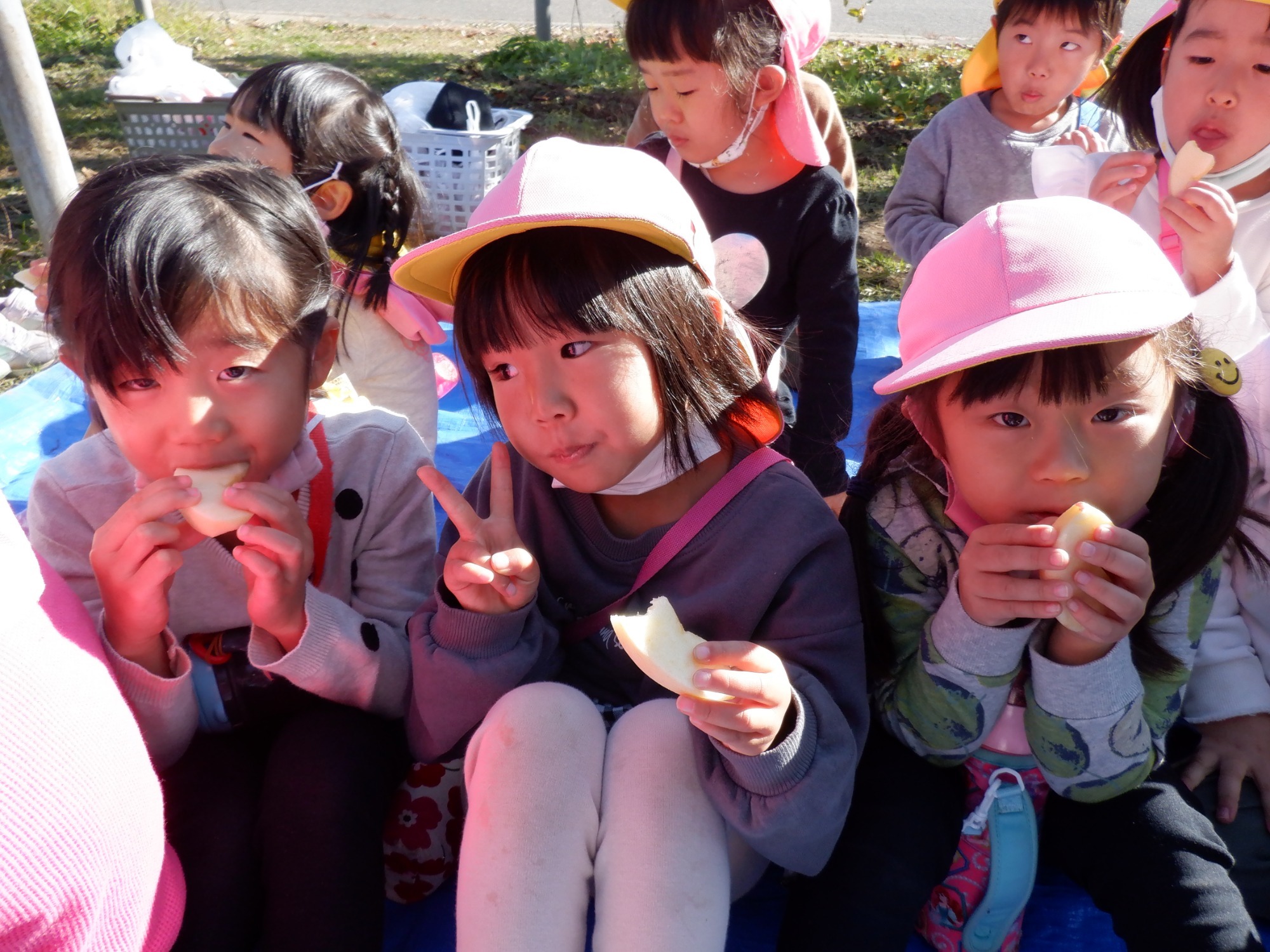 11月17日・19日