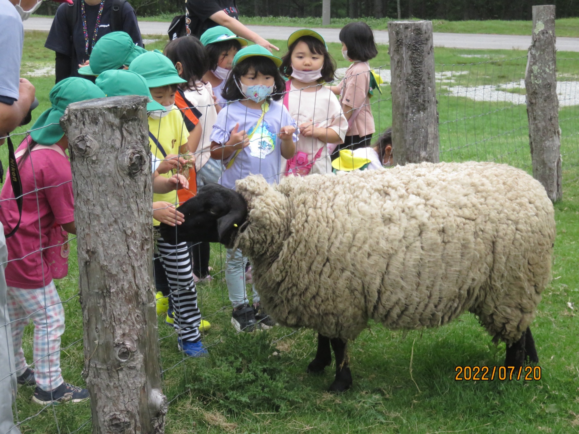 7月21日・22日　お泊り保育